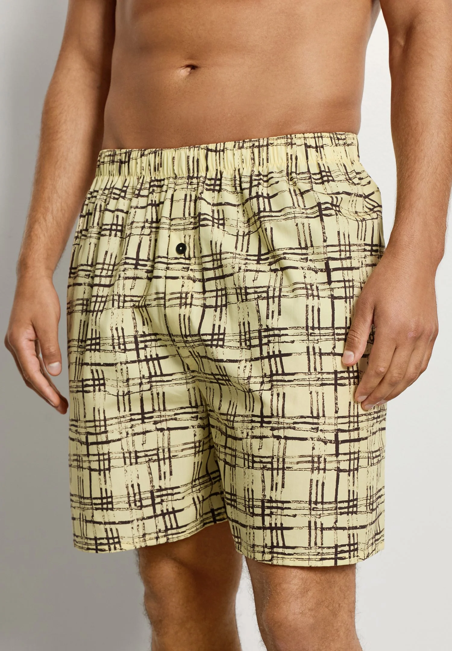 Arthur Arbesser X Hanro Boxers | tartan print 076369-073069 - Image 11