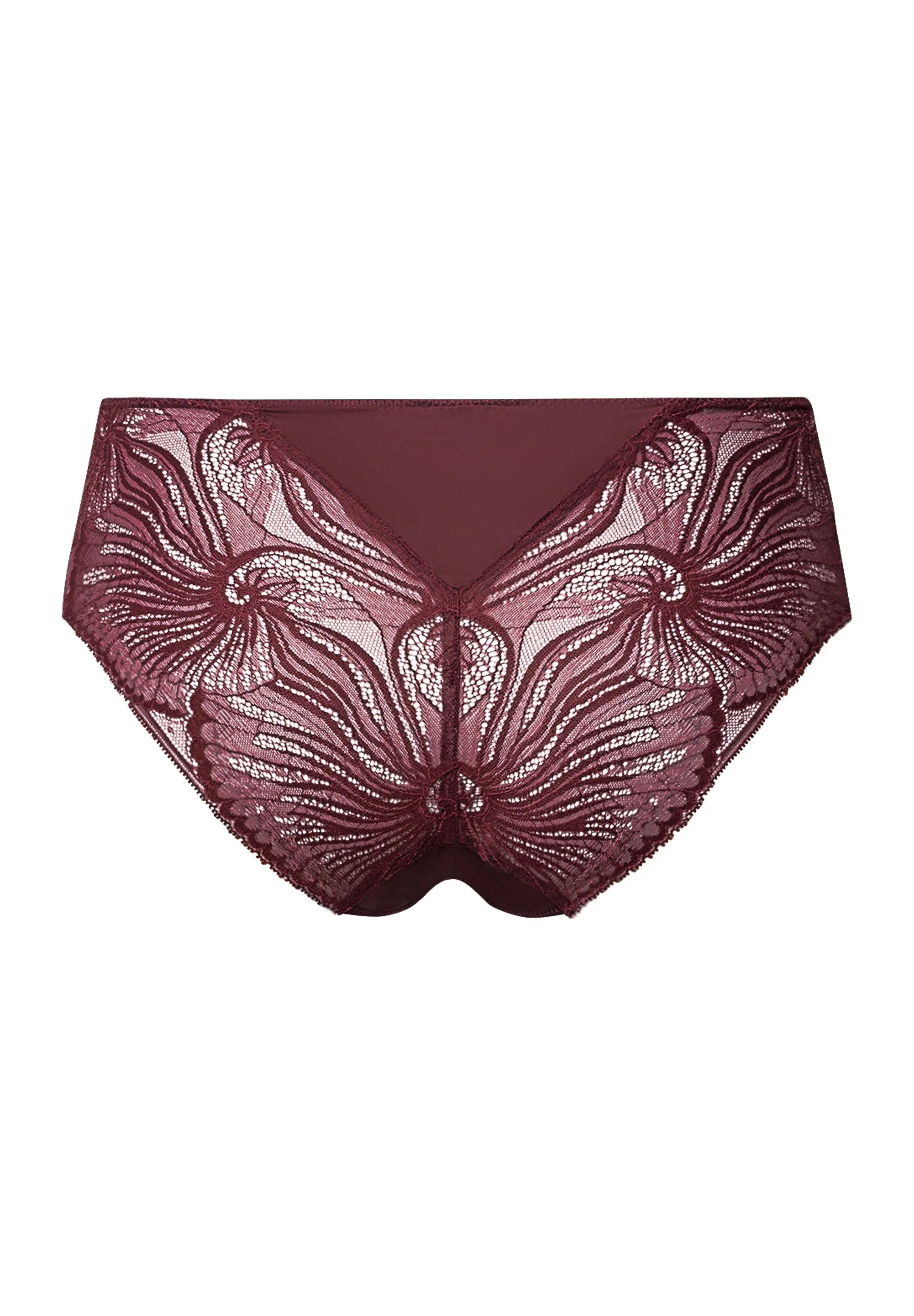 Lilith Midi Briefs | vivid brown 070841-072421 - Image 3