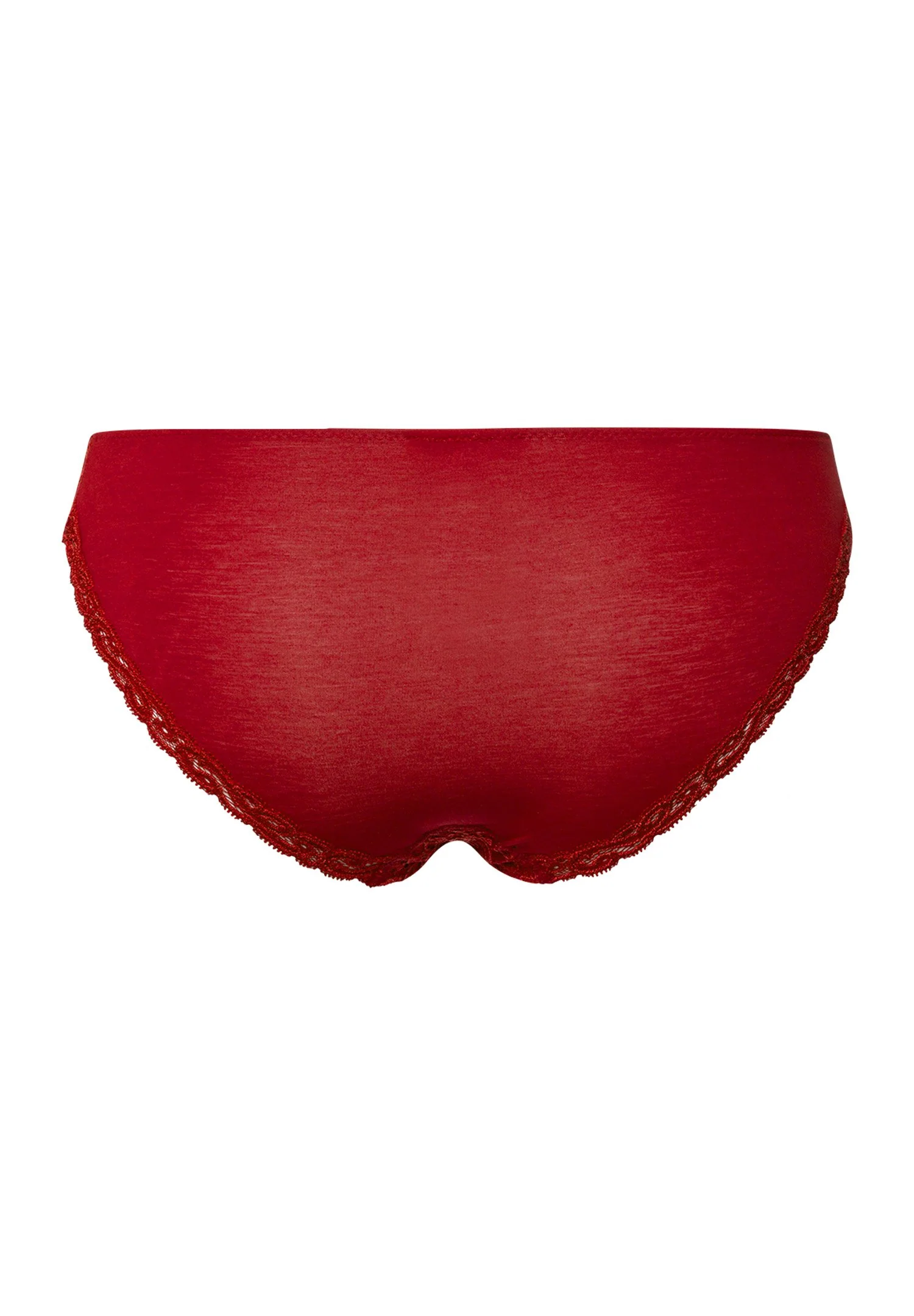 Moments Mini Briefs | red dahlia 071515-072418 - Image 3
